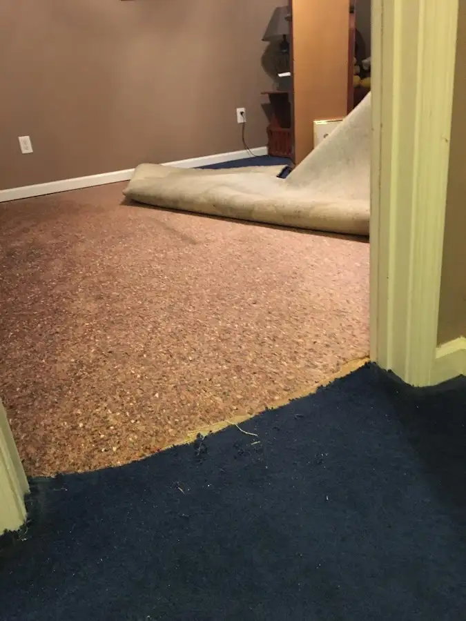Carpet pad removal revealing water damage during Water Mitigation Services in South Burlington