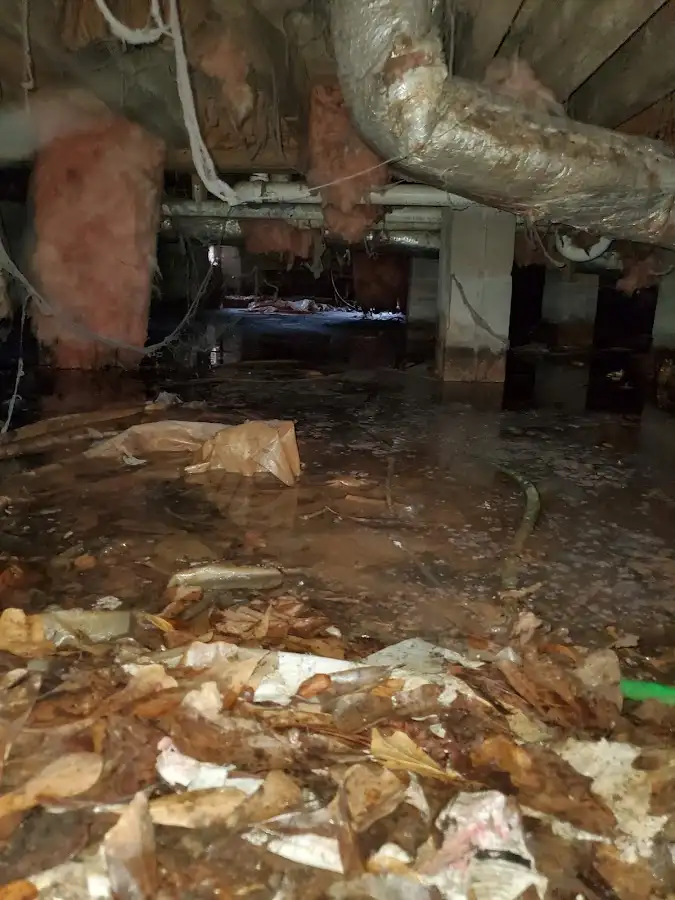 Crawl space flood assessment for Leak Detection & Repair in South Burlington